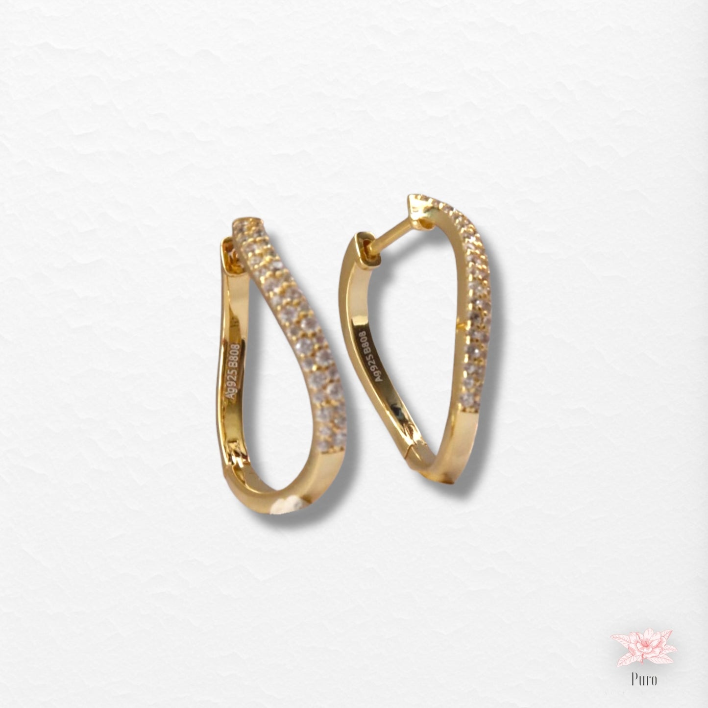 Anillos curvilíneos